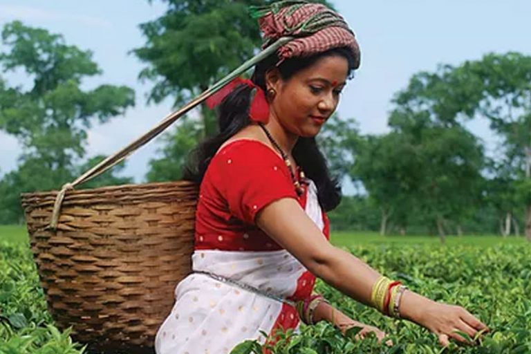 Engaging Youth Across Global Company Supply Chains