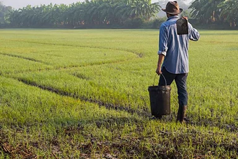 man walking through field